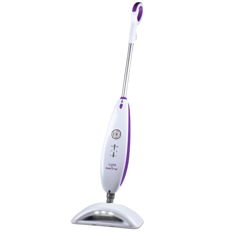 BISSELL ProHeat 2X Lift-Off Pet Upright Carpet Cleaner - 15651