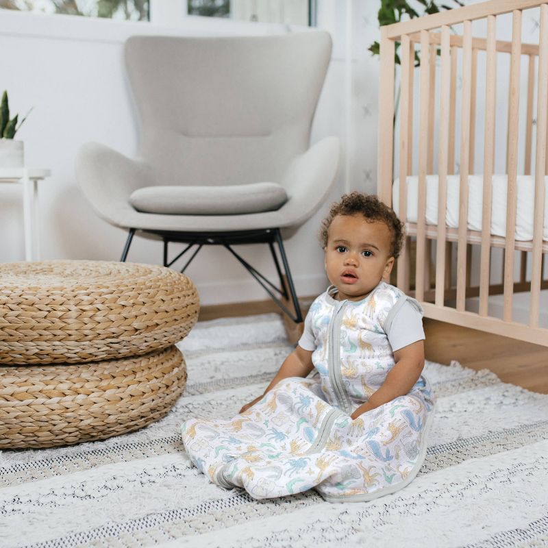 aden + anais Sleeping Bag Natural History Species Wearable Blanket