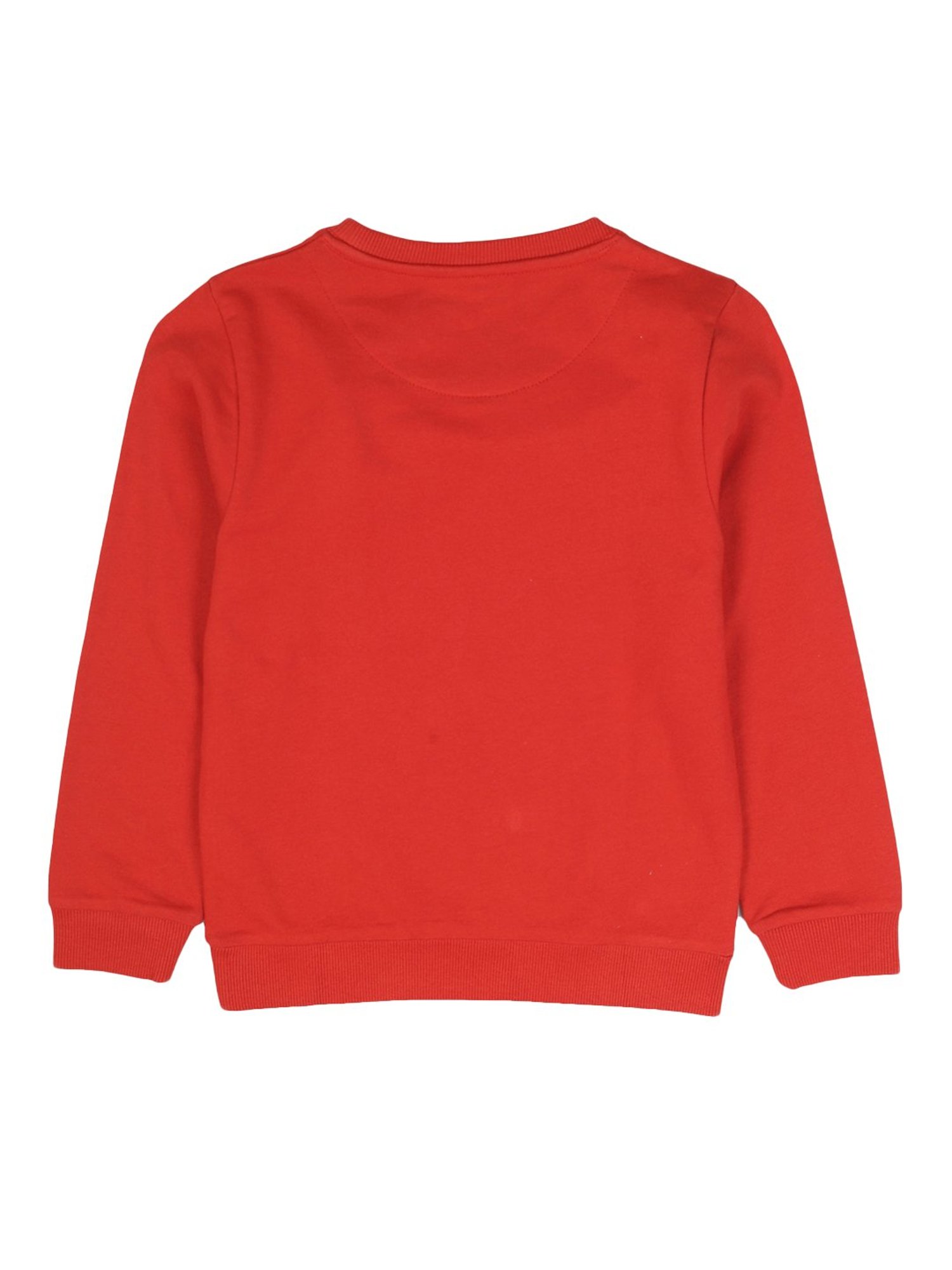 Plum Tree Kids Red Printed Sweatshirt