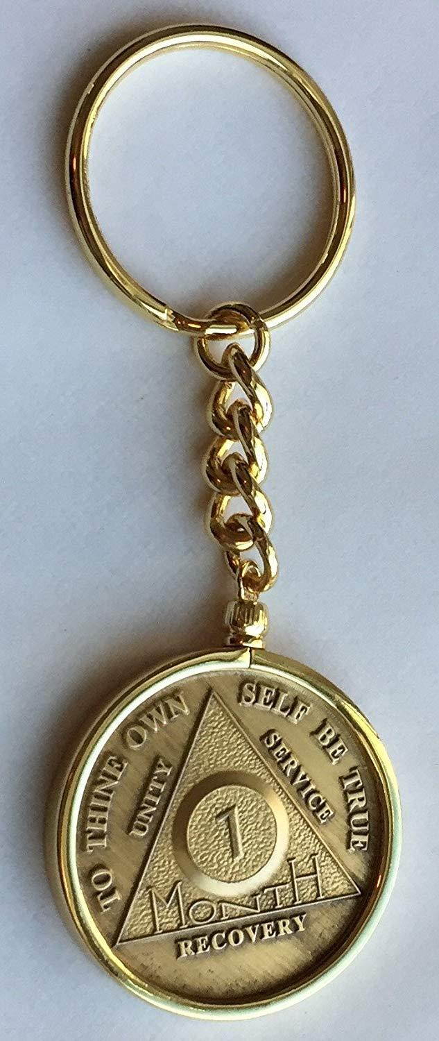 Wendells 1 Month 30 Day AA Sobriety Chip In Removable Gold Plated Keychain Holder