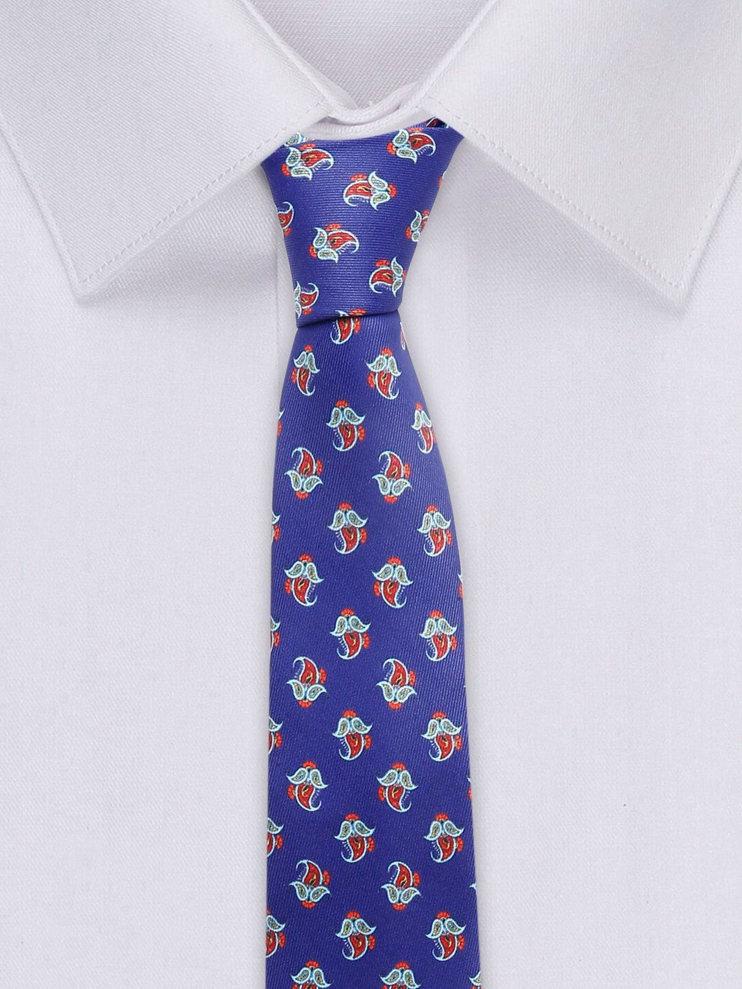Louis Stitch Blue Printed Necktie Gift Set - Set of 5