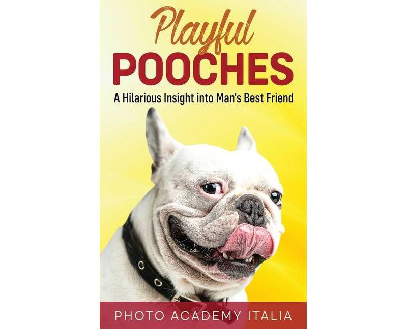 Behold the Personal Maine Coon - by  Phyllis Stiebens (Paperback)