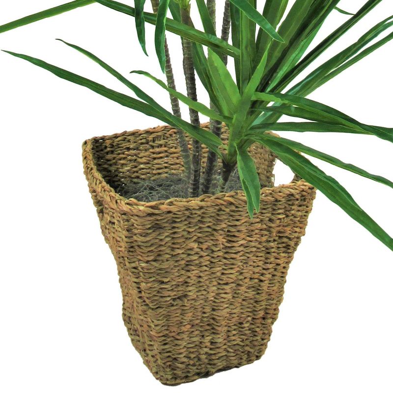 5.6' Artificial Dracaena Tree in Square Basket with Handles - LCG Florals