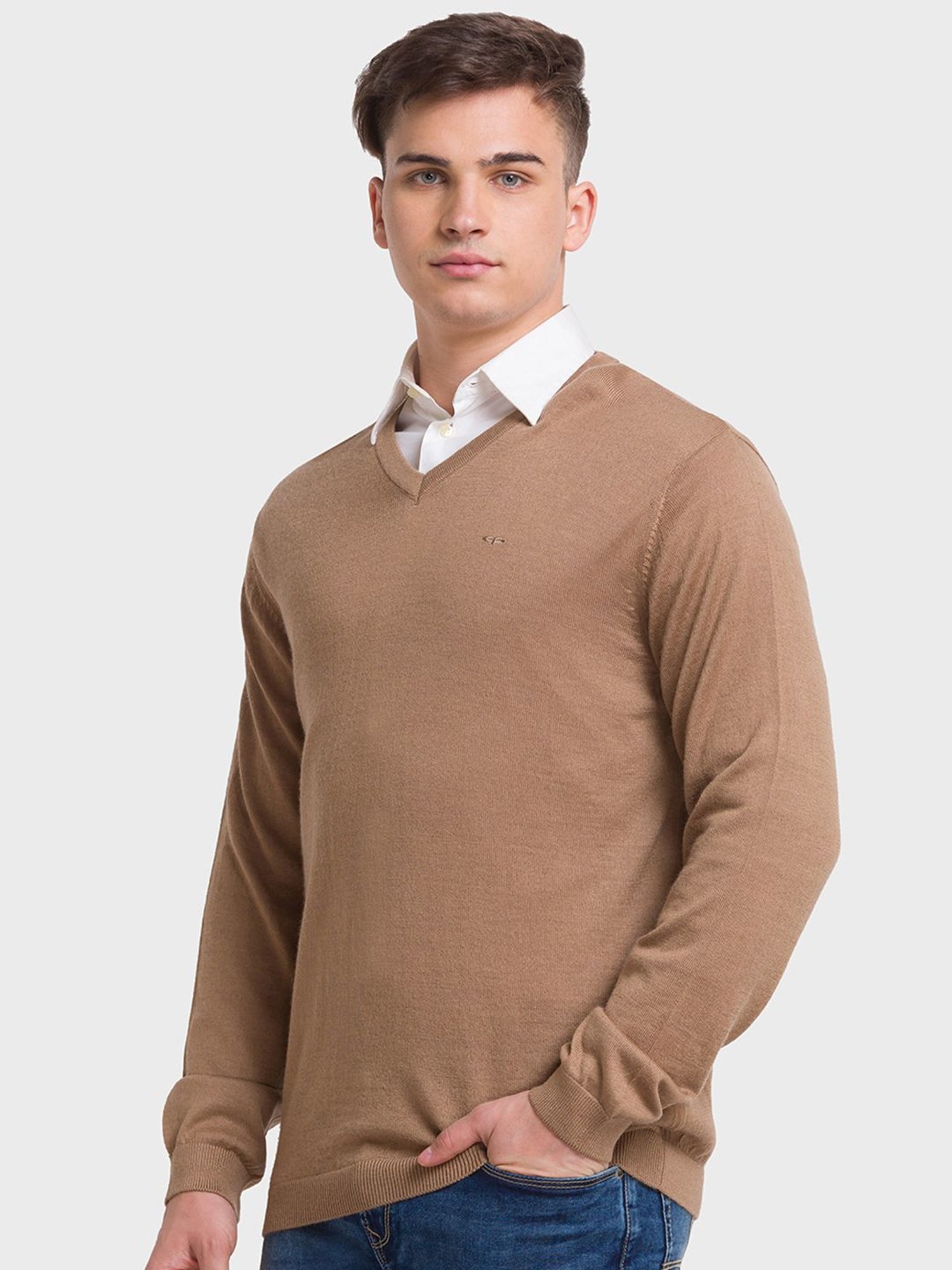 ColorPlus Brown Tailored Fit Sweaters