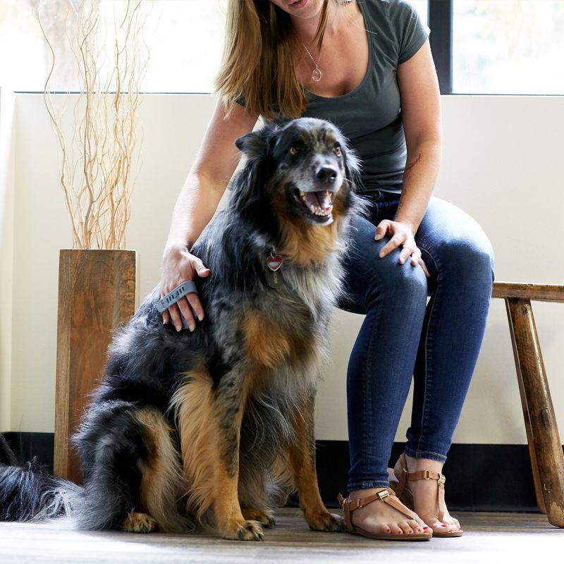 PL360 Shampoo + Conditioner For Dogs -  16oz