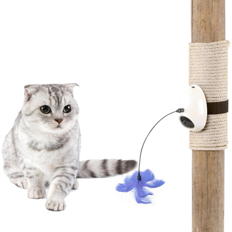 PawsMark Interactive 2-in-1 Spring Feather and Red Light Chaser Cat Toy