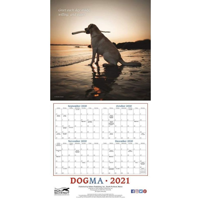 Sellers Publishing 2021 Dogma: A Dogs Guide to Life 16-Month Wall Calendar Schmidt, Ron