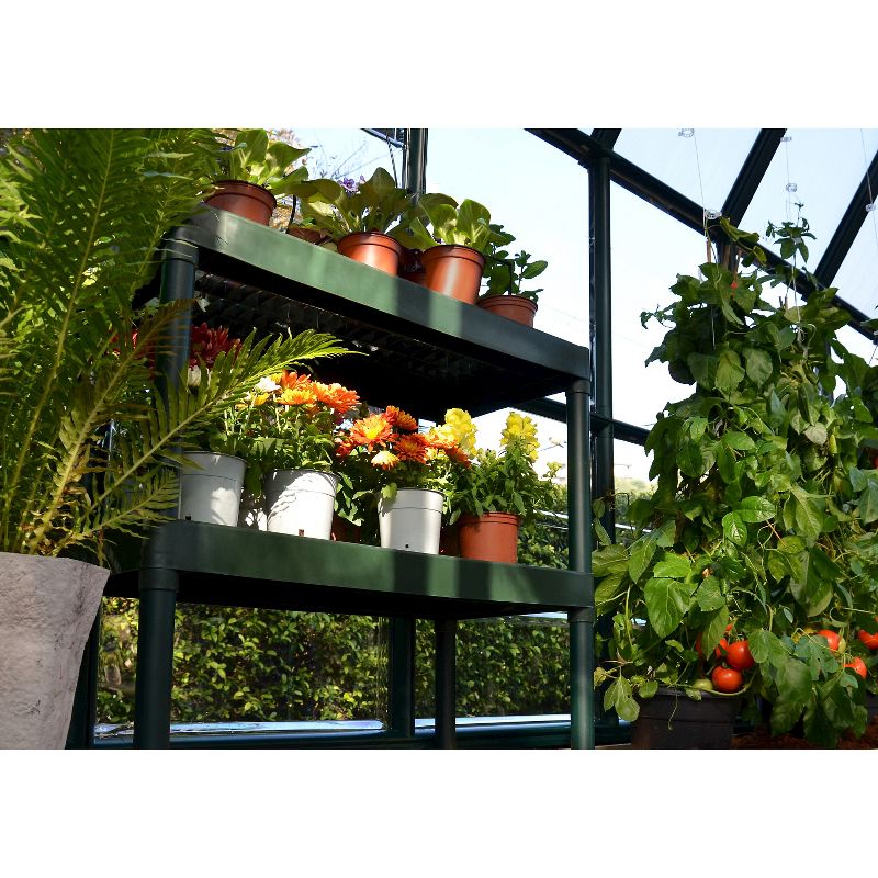 Two Tier Staging - Forest - Rion