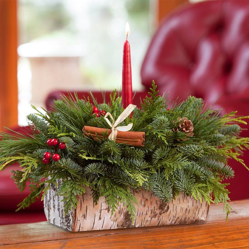 Live Fresh Cut Pacific Northwest Birch Log Centerpiece with Candle - Van Zyverden