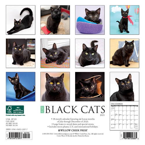 2021 Black Cats Wall
