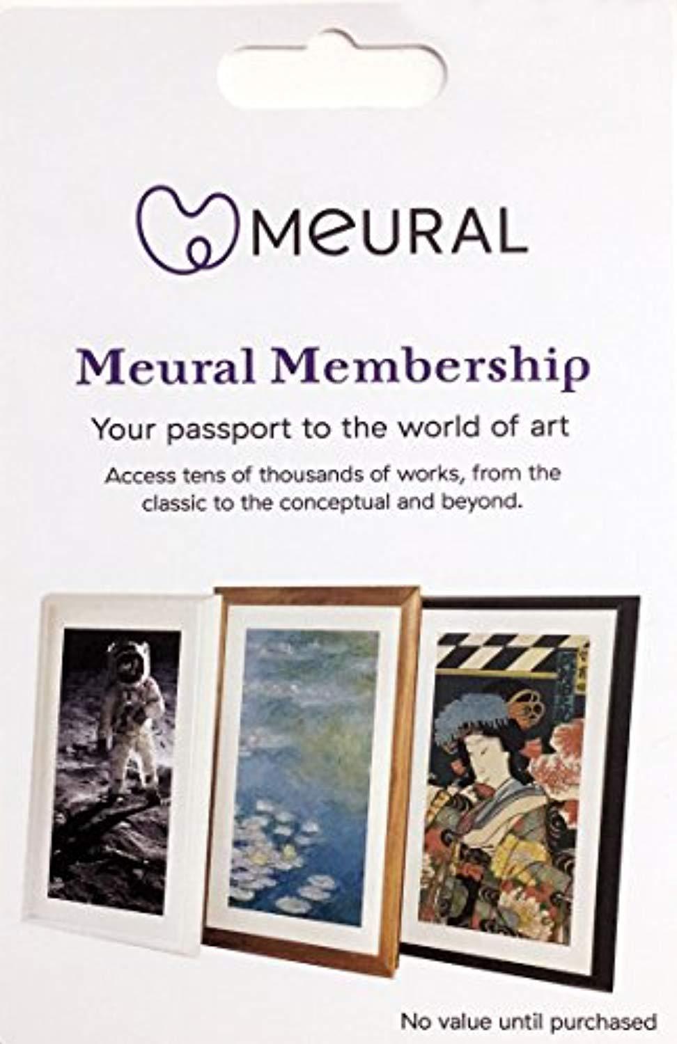 meural canvas annual membership card for digital picture frame art