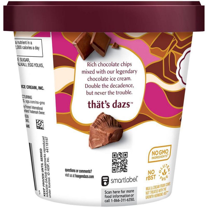Haagen-Dazs Chocolate Chip Ice Cream - 14oz