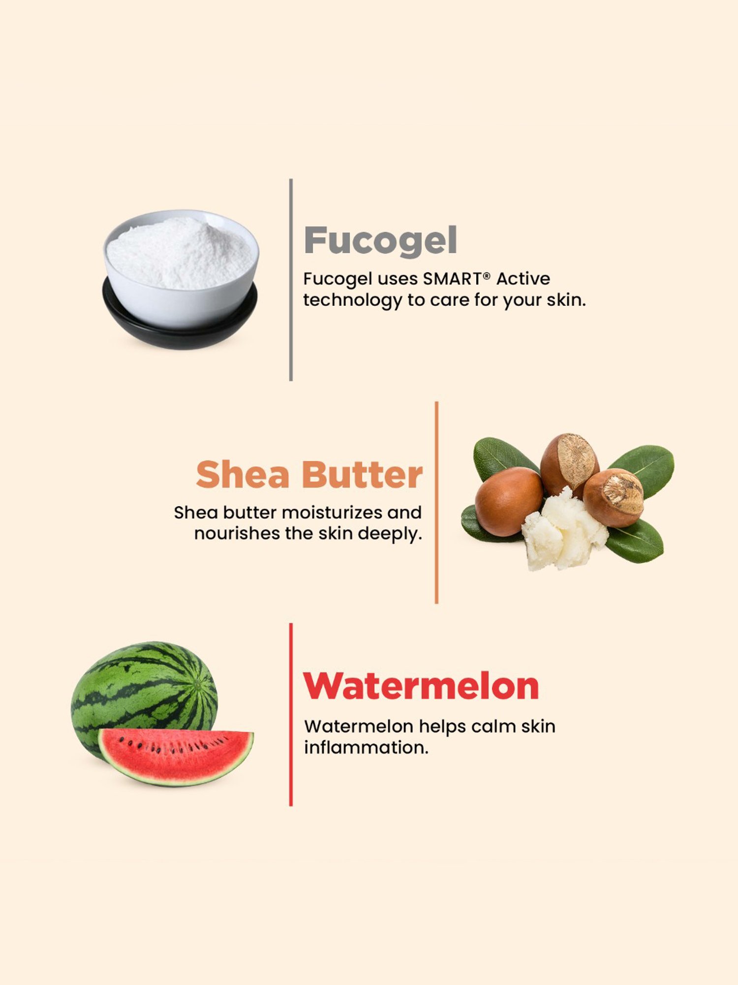 The Skin Story Watermelon & Shea Butter Daily Repair Moisturising Cream - 50 gm