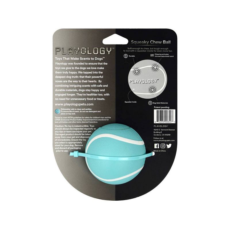 Playology Peanut Butter Scent Chew Ball Dog Toy - Blue - M