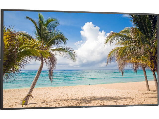 NEC 55IN LED DISP MNTR 1920X1080