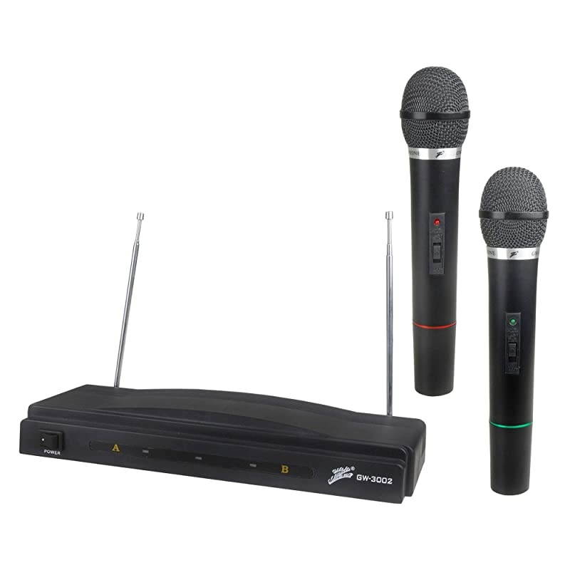 GW3002DM306 Dual FM Operation Wireless Microphone Transmitter Audio System with Receiver Black