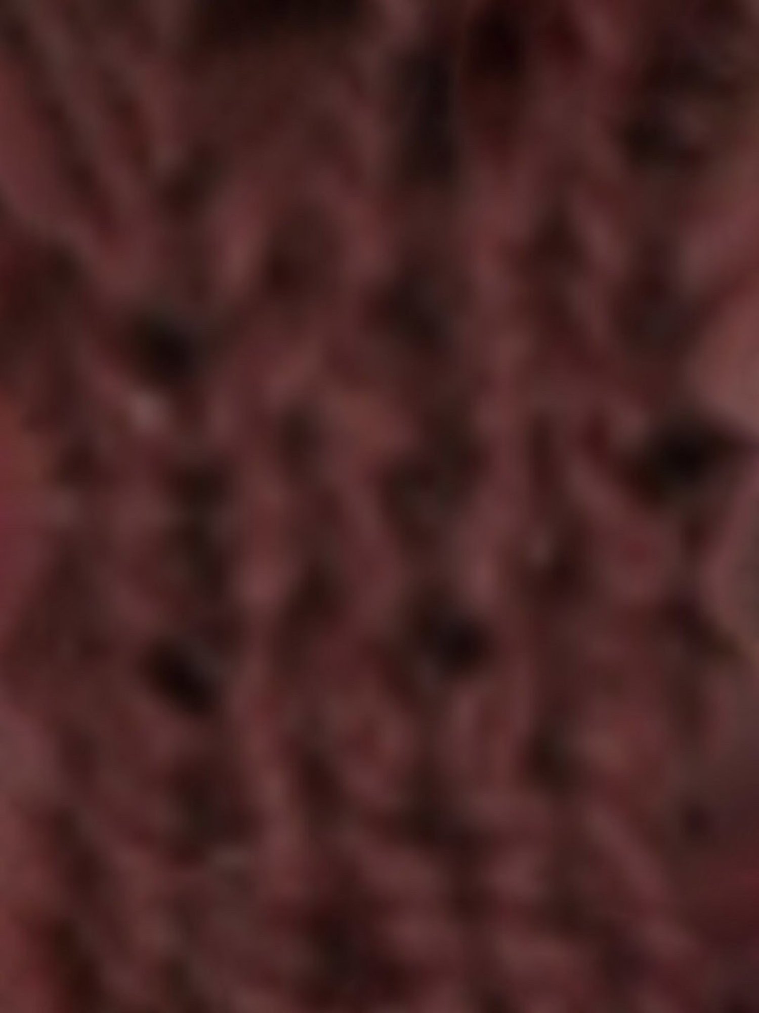 American Eagle Brown Beanie