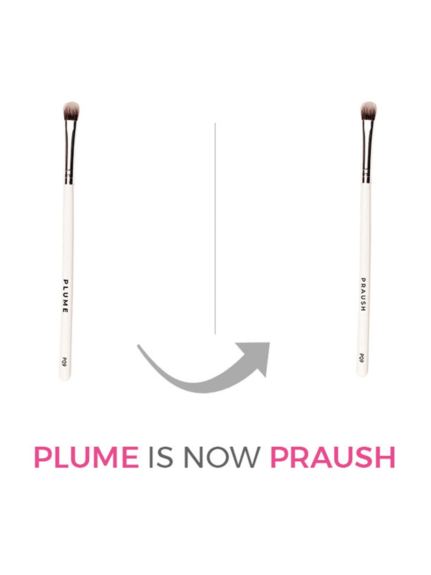 Praush Flat Eyeshadow Blending Brush - P09