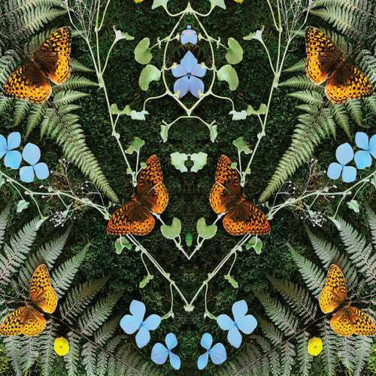 Jean-Michel Blais aubades LP (Vinyl)