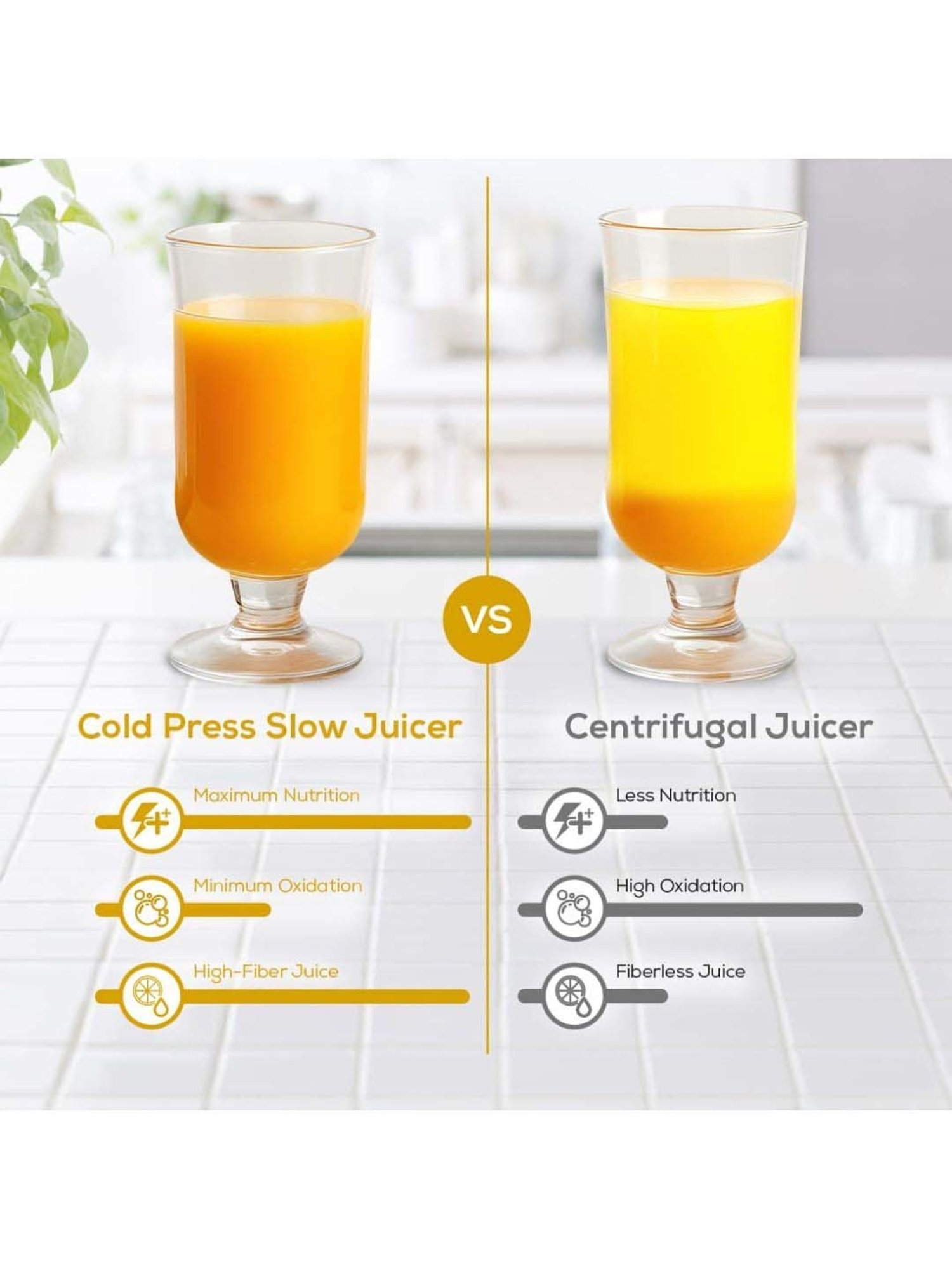 Wonderchef Regenta 55 RPM Full All-in-1 Fruit & Vegetable Juicer | (240W, White)