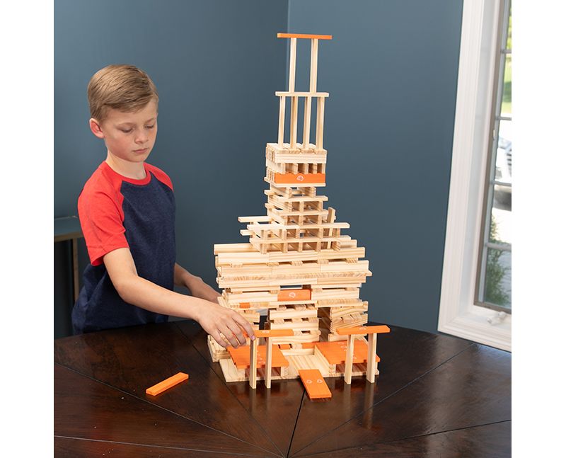  Fat Brain Toys Timber FB208-1 300 Piece Set