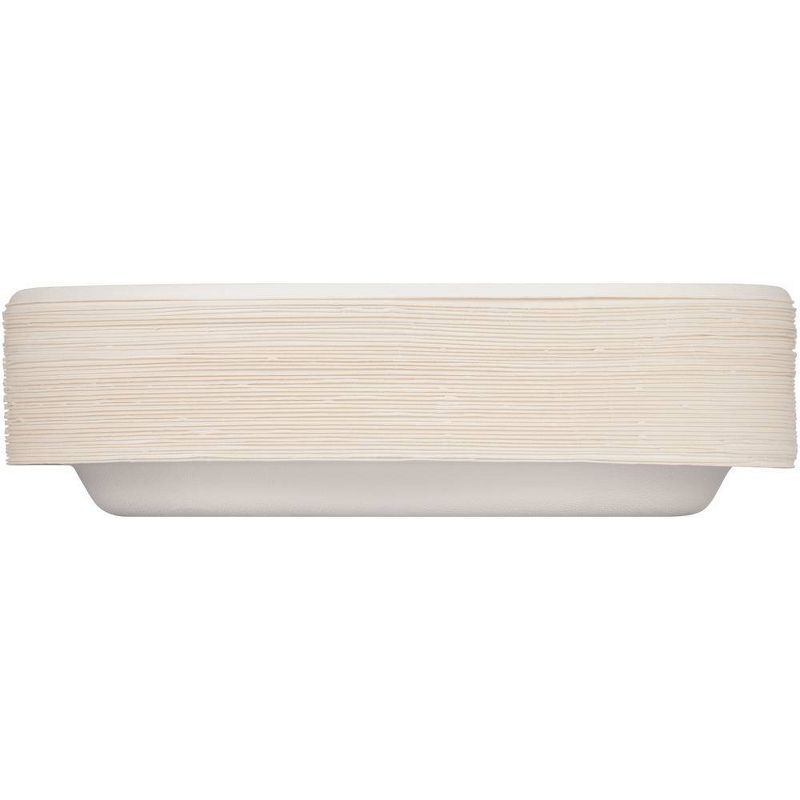 Hefty EcoSave Molded Fiber 8 3/4" Plates - 22ct