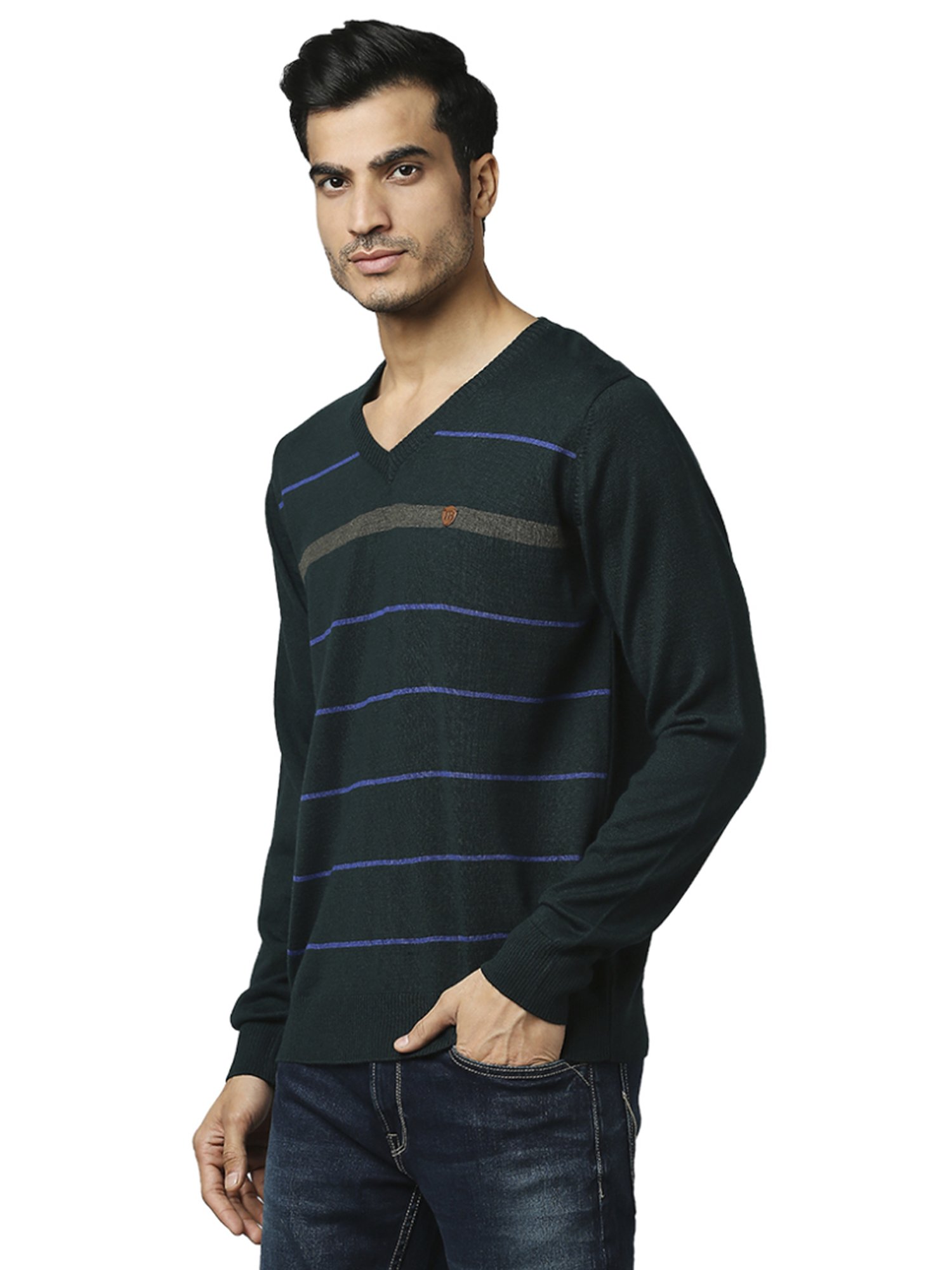 Raymond Green  Regular Fit Striped Sweaters