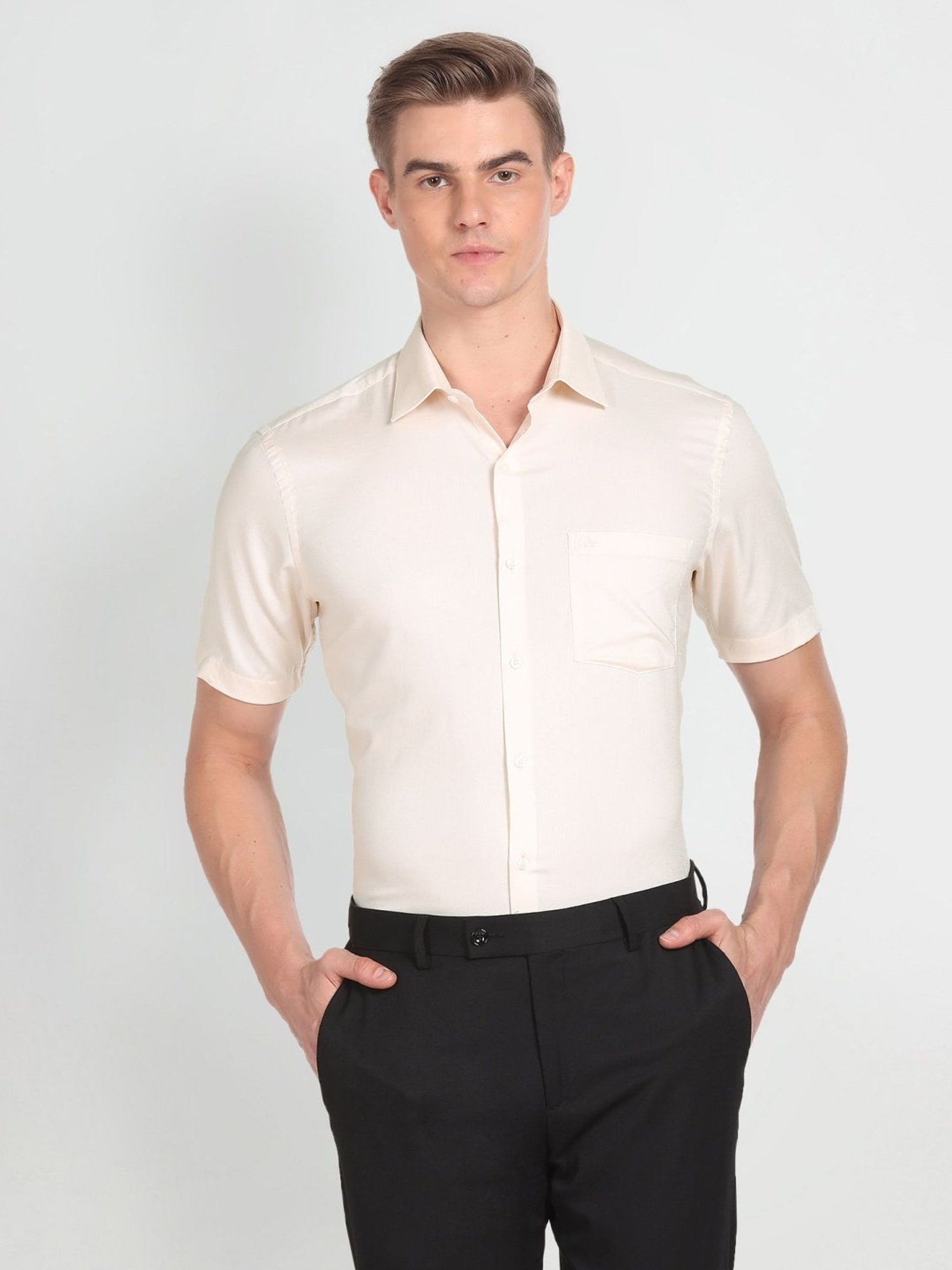Arrow Off White Cotton Regular Fit Shirt