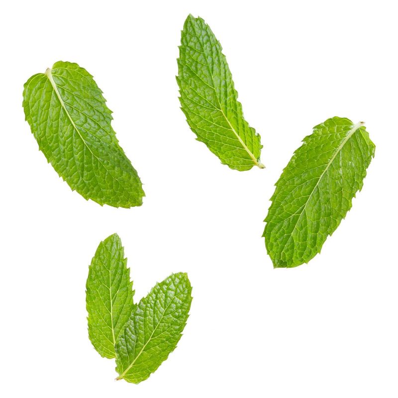 Tazo Refresh Herbal Tea - 20ct