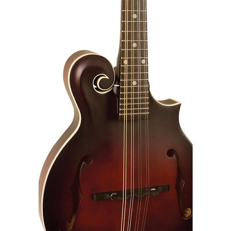 The Loar LM-310F Hand-Carved F-Style Mandolin Vintage Brown