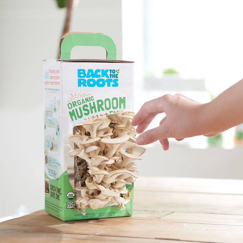 Back to the Roots Organic Mushroom Grow Kit