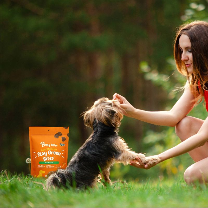 Zesty Paws Grass Defense Stay Green Dog Digestive Supplements - 60ct
