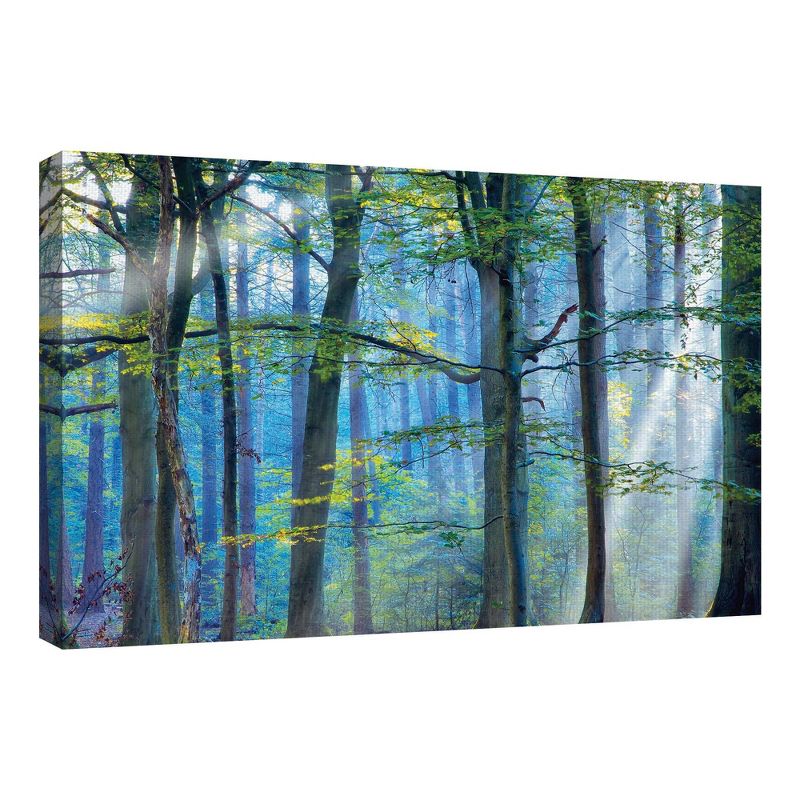 24" x 36" Enchanted Forest Crop by Lars Van De Goor Art on Canvas - Fine Art Canvas