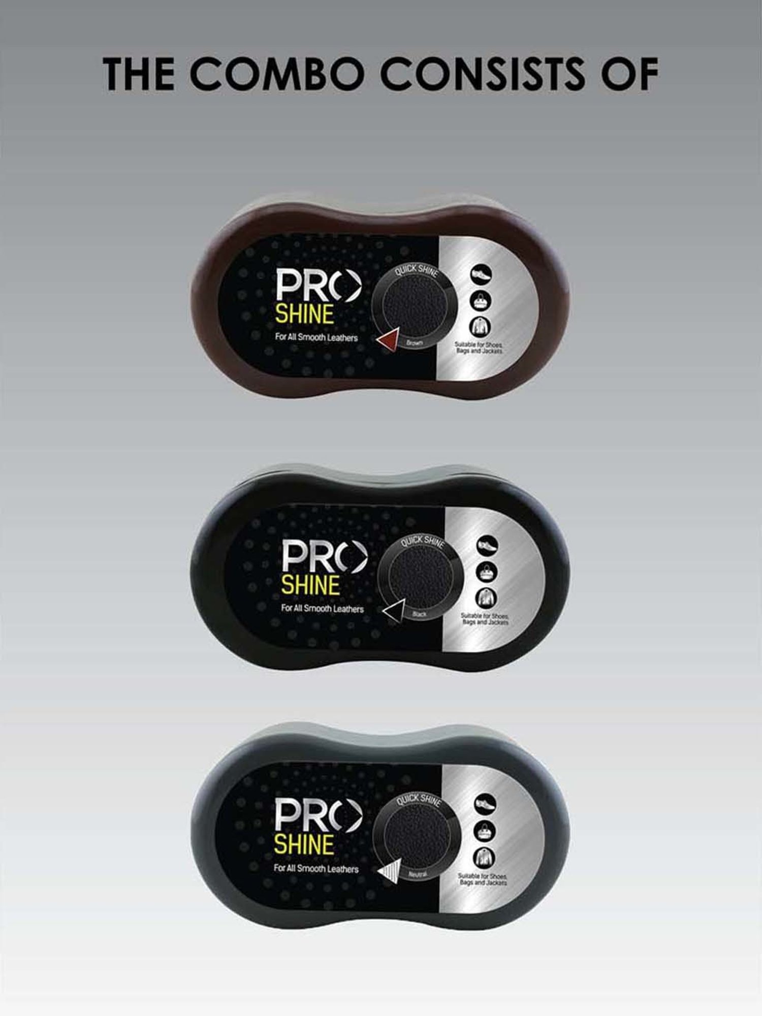 Pro Multicolored Shine Kit for Leather Shoes