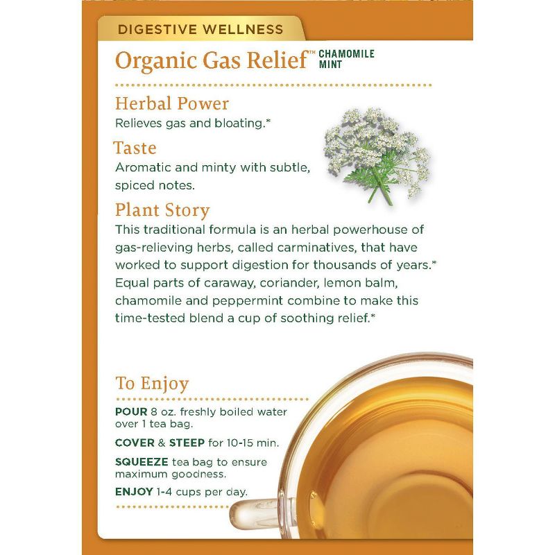 Traditional Medicinals Gas Relief Organic Tea - 32ct