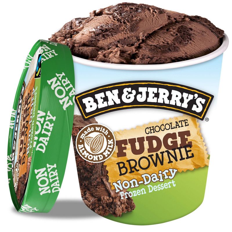 Ben & Jerry's Chocolate Fudge Brownie Non-Dairy Ice Cream Frozen Dessert - 16oz