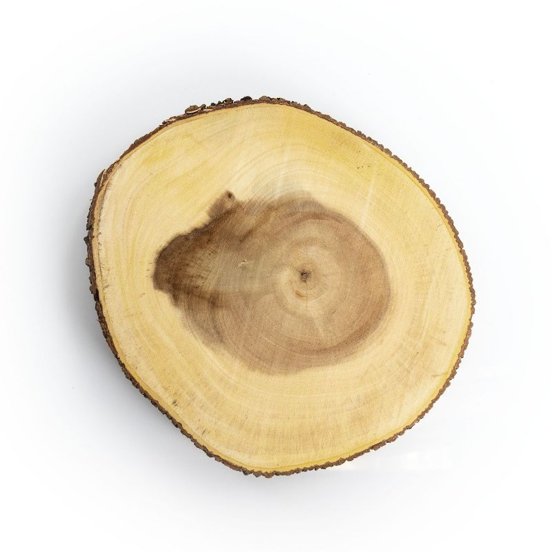 Gibson Home B. Smith 2 Piece 8 Inch Small Stump Acacia Wood Server in Brown