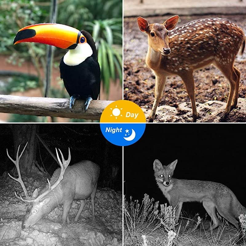 20MP Wildlife Trail Camera with 32GB Card Included Game Camera