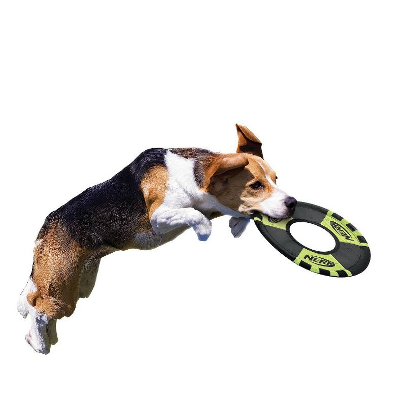 NERF Trackshot Toss and Tug Ring Pet Toy - Green - 9"