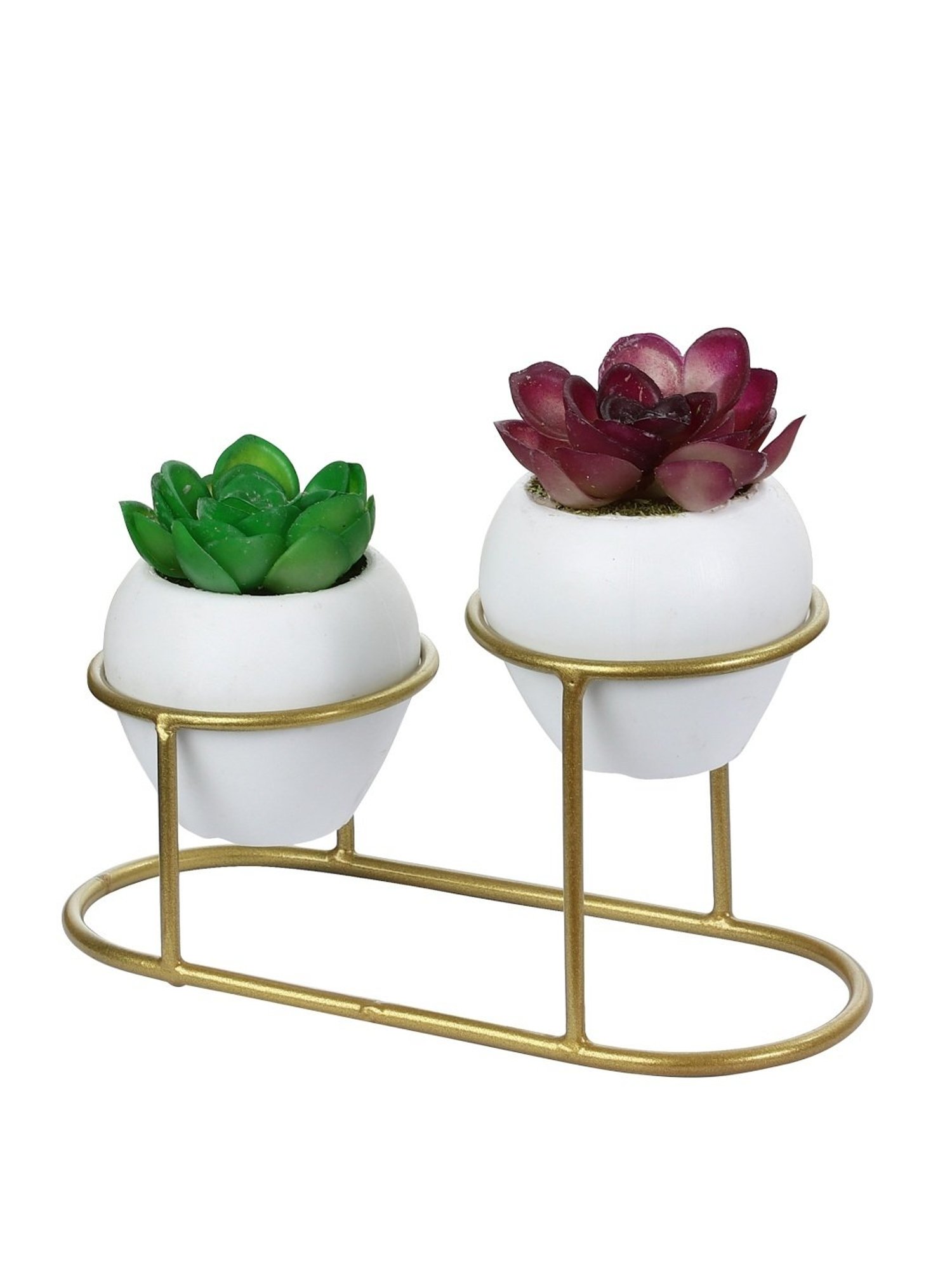 Foliyaj Multicolor Plastic Artificial Cactus Plants with Metal Holder - Set of 2