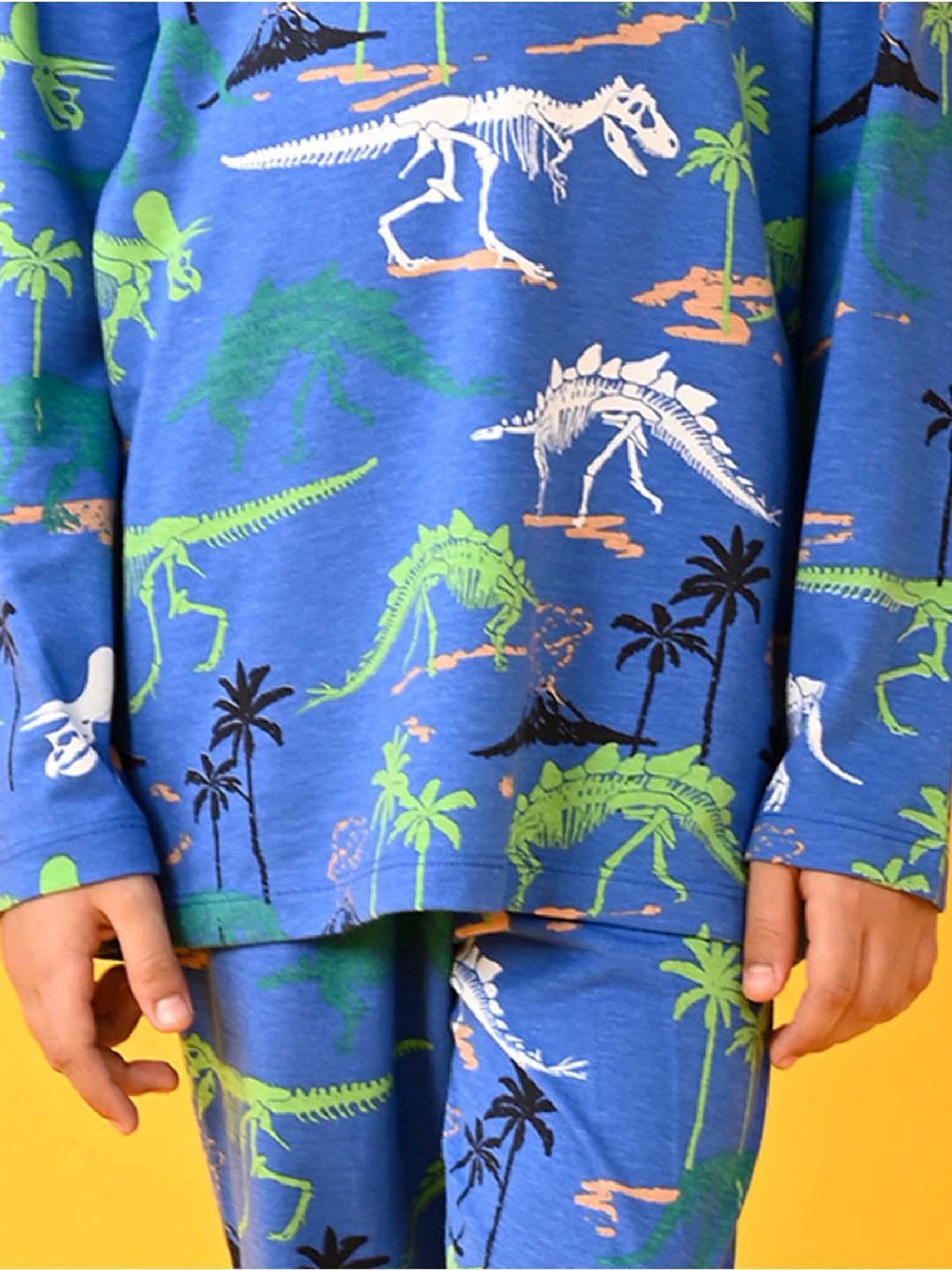 Anthrilo Boys Royal Printed Full Sleeves Night Suits