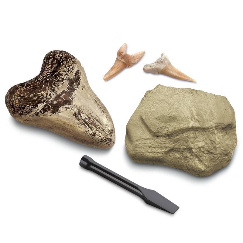 Discovery Kids Toy Excavation Science Kit Mini Shark Tooth 2pc