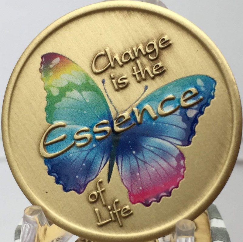 Change Is The Essence Of Life Color Rainbow Butterfly Serenity Prayer Medallion Chip