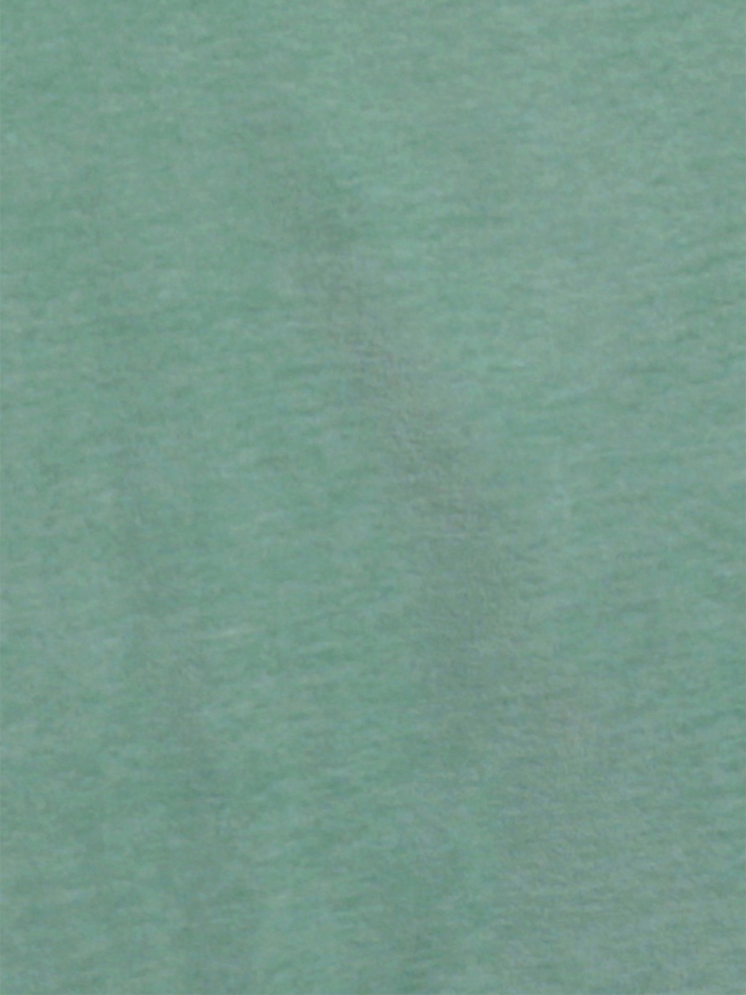 Maspar Colorart Jessica Solid Green 110 TC Cotton Single Bed Cover