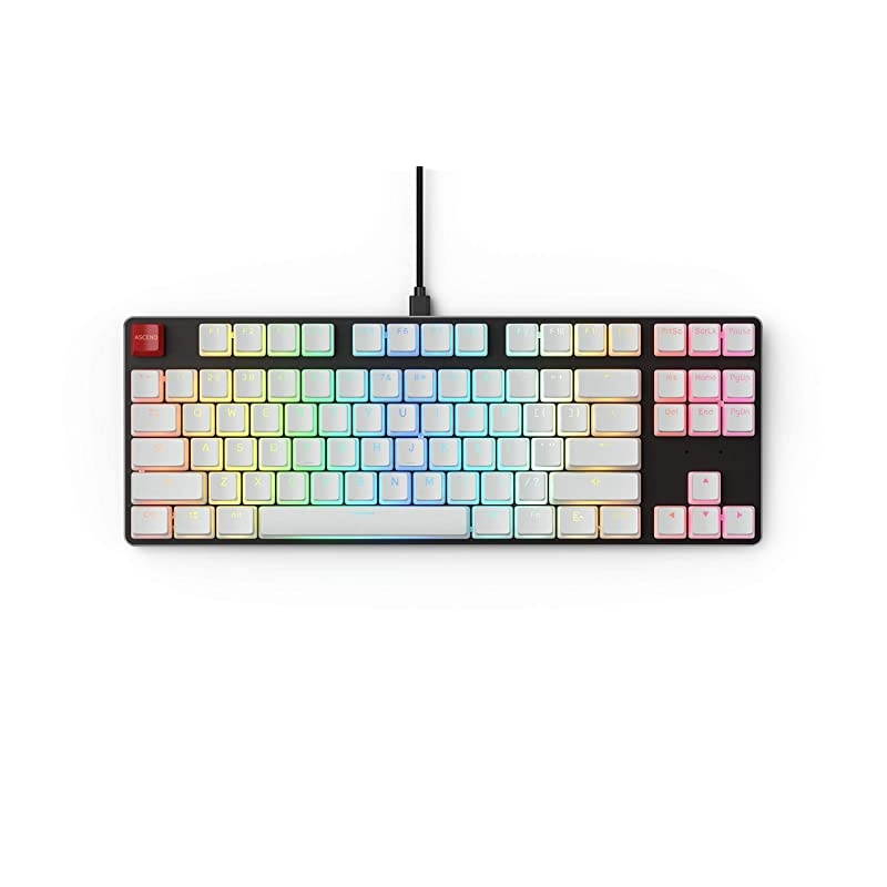 Aura Keycaps for Mechanical Keyboards - PBT, Pudding, Double Shot, White, Standard Layout | 104 Key, TKL, Compact Compatible (Aura (White))