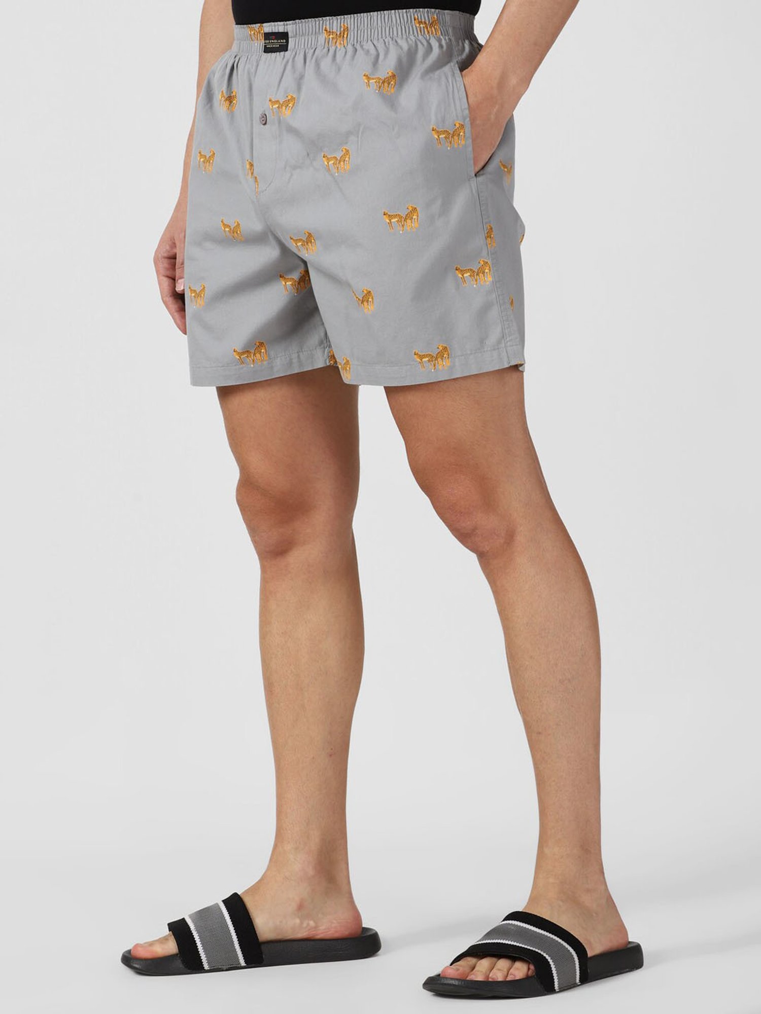 Peter England Grey Cotton Regular Fit Printed Boxers
