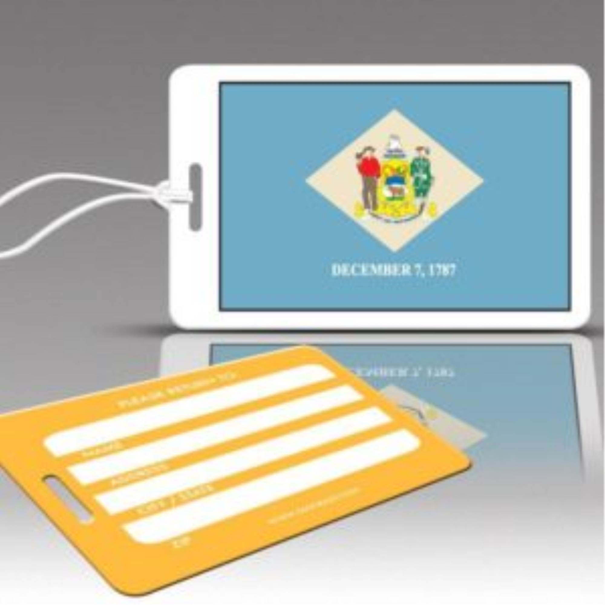 US State Flag Collection - Delaware