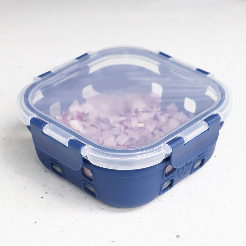 Michael Graves Design Square 27 Ounce High Borosilicate Glass Food Storage Container with Plastic Lid, Indigo