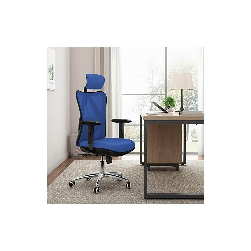 Ergonomic Office Chair, Computer Desk Chair, Adjustable Headrest, Backrest, and Armrests, Lower-Back Support, Mesh (Blue)