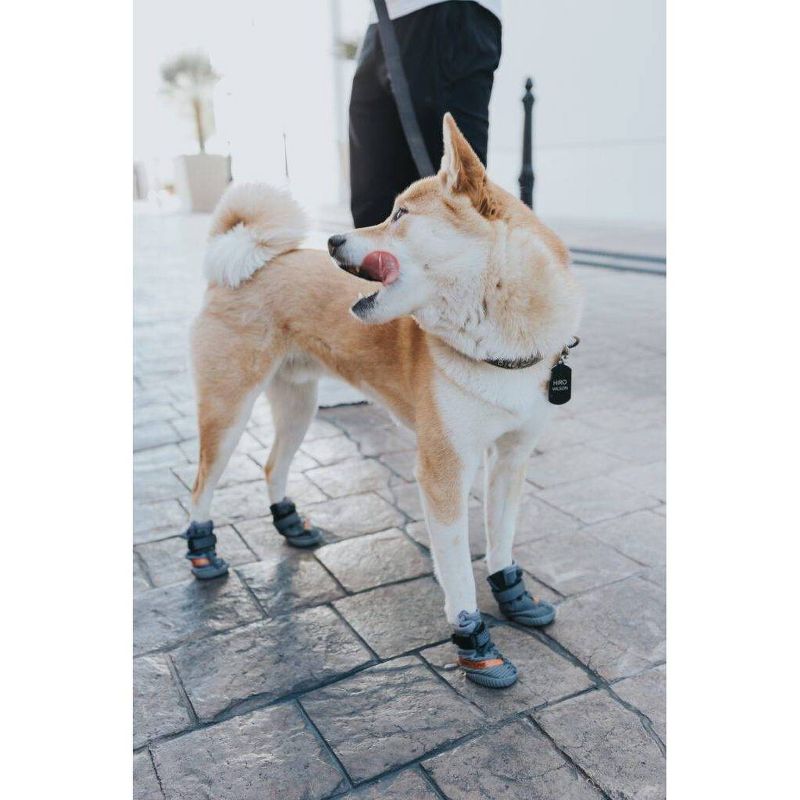 QALO Dog and Cat Tile Enabled Traq - Pink